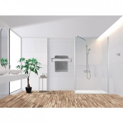 Paroi de douche fixe Transparence 80x200cm ODYSSEA