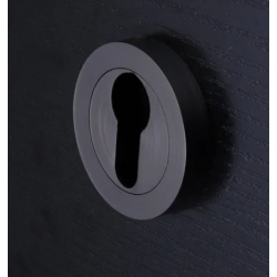 2 rosaces INSPIRE trou de cylindre, zamak canon...